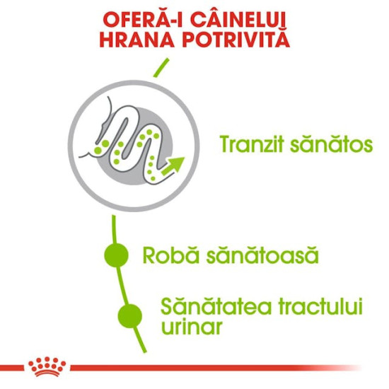 Royal Canin X-Small Adult – Hrană Uscată pentru Câini Adulți de Talie Foarte Mică – 1,5 kg